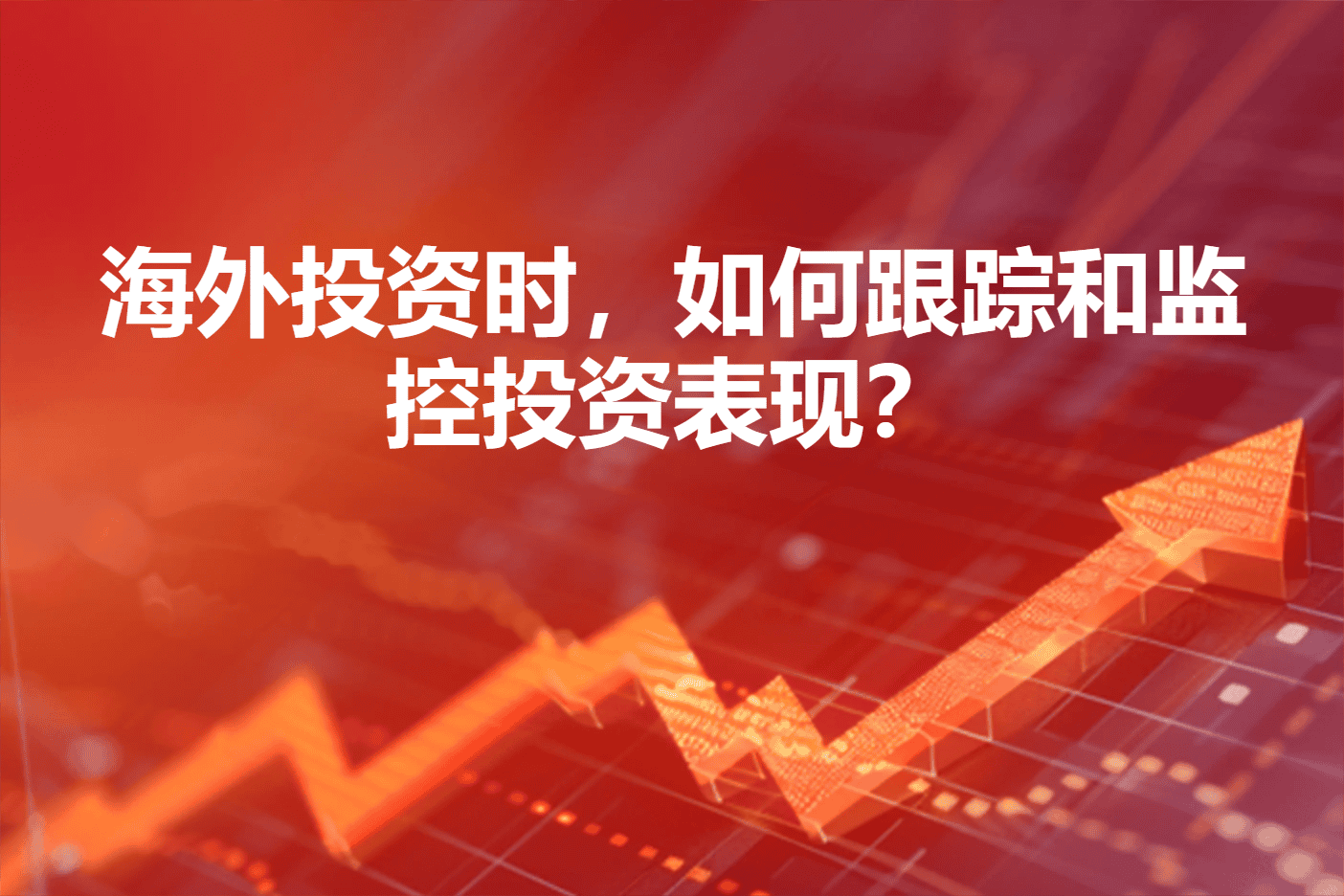 海外投资时，如何跟踪和监控投资表现？