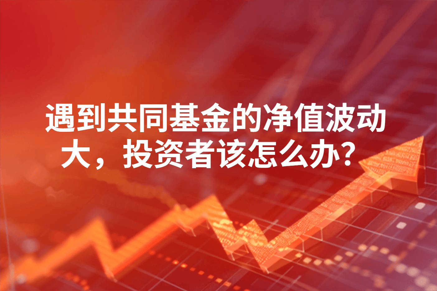 遇到共同基金的净值波动大，投资者该怎么办？