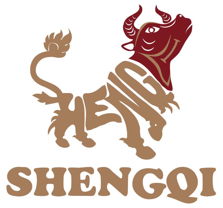 盛麒资本(香港)有限公司