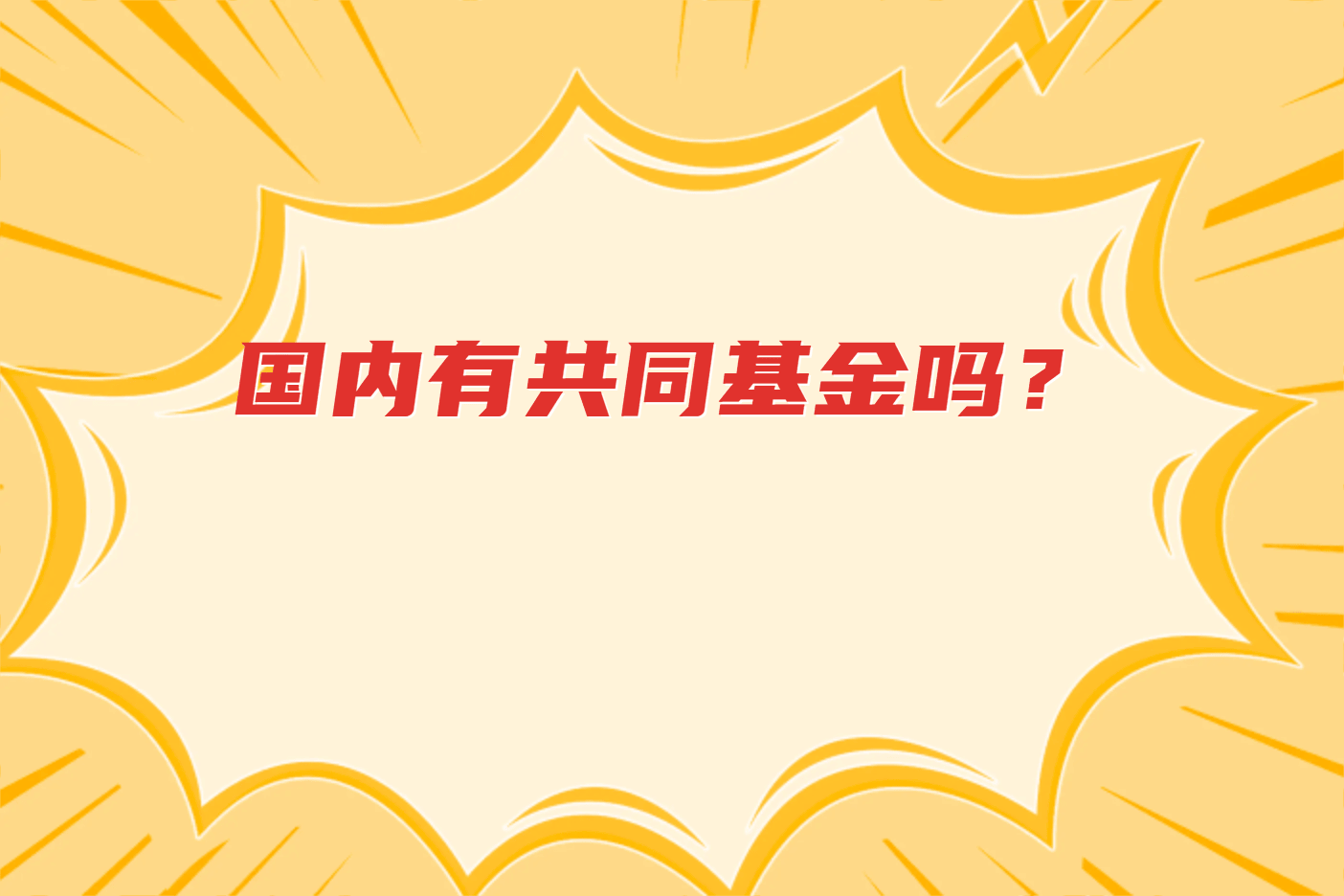国内有共同基金吗？